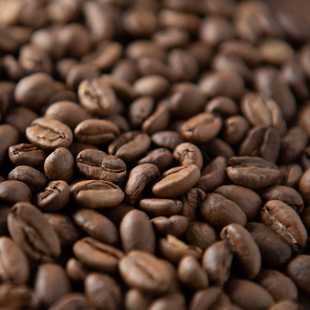 Roaster's Choice - Lighter and Brighter - Gift Subscription