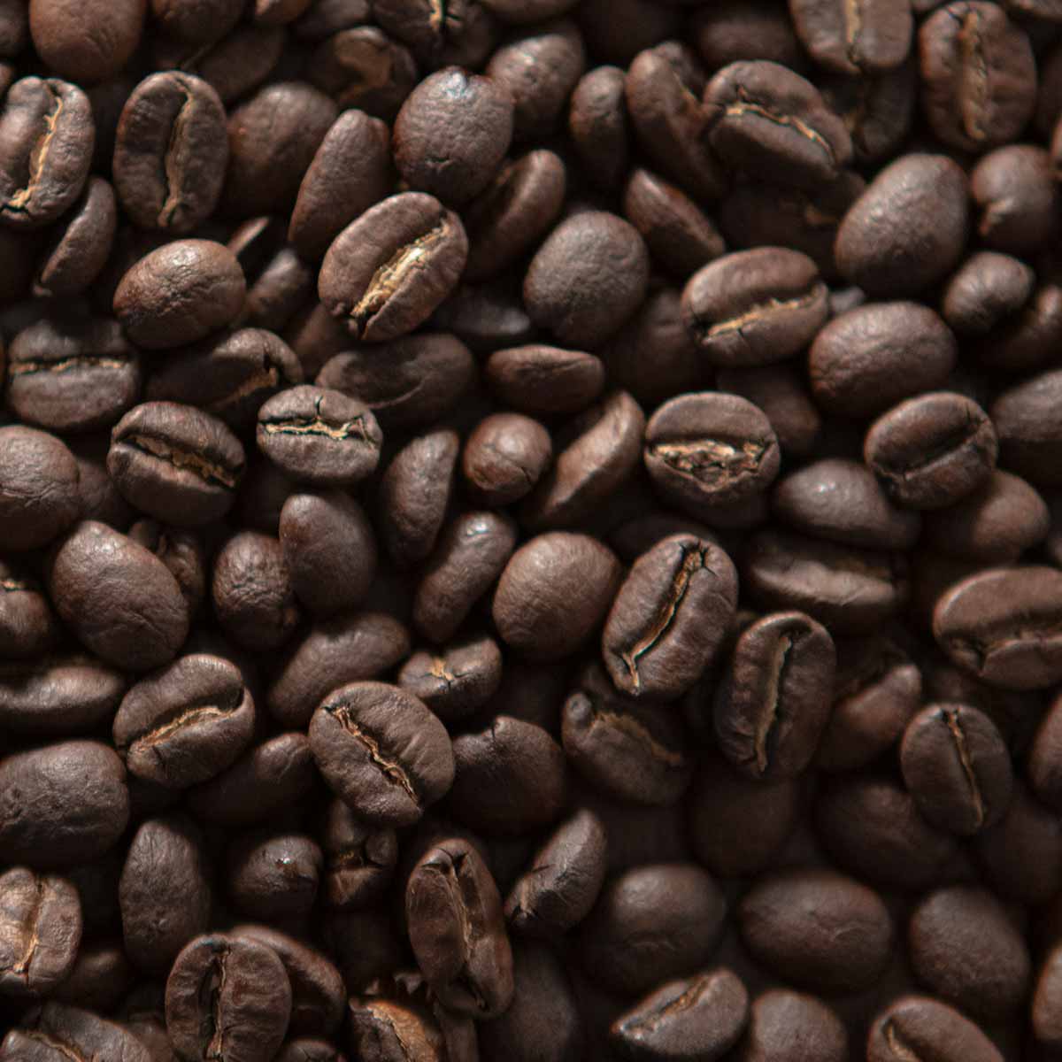 Roaster's Choice - Rich and Complex
