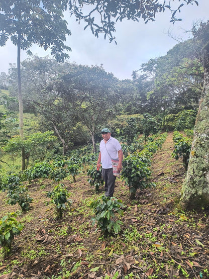 Cafe del Cauca - Ramiro Delgado