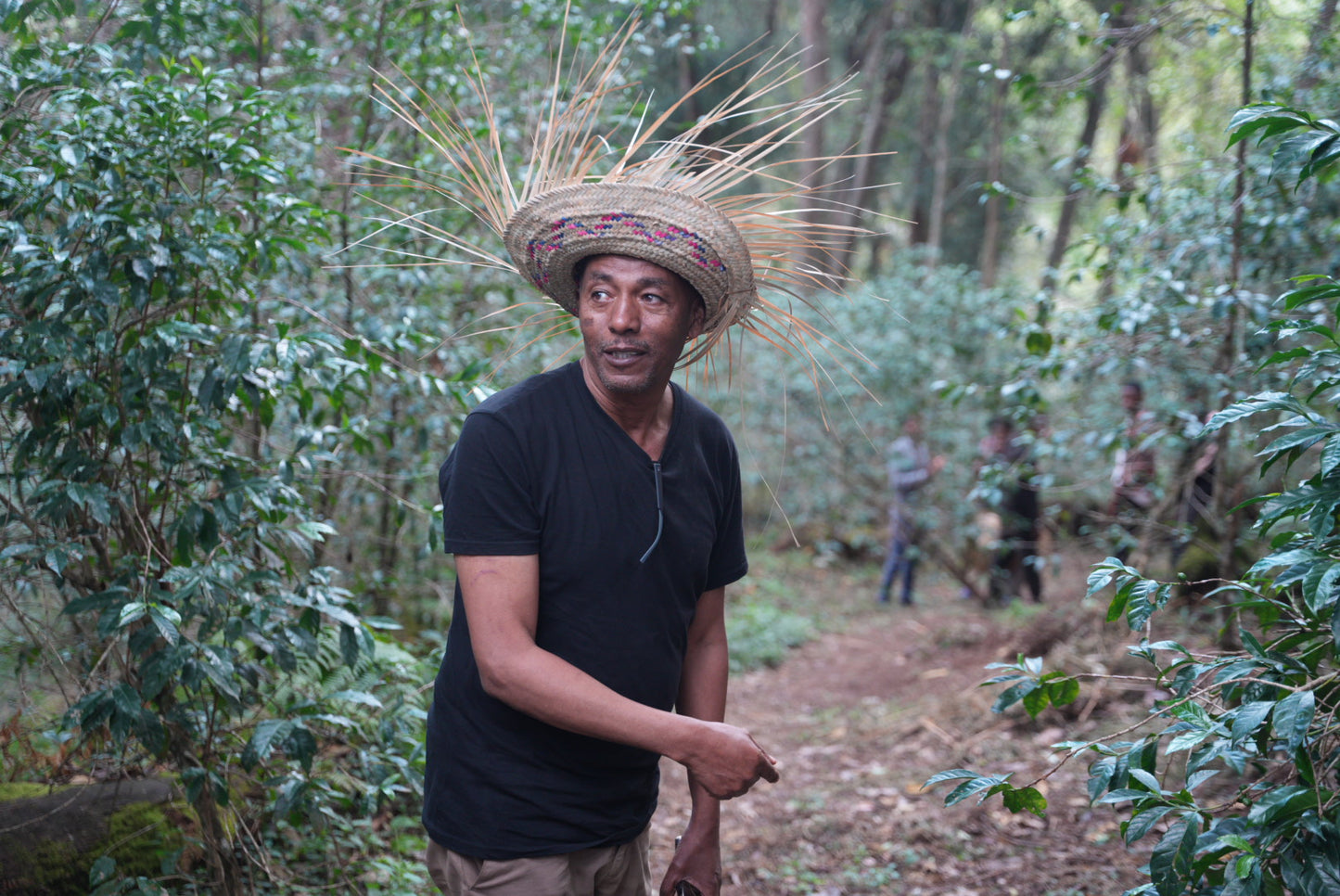 Suke Quto - Swiss Water Decaf