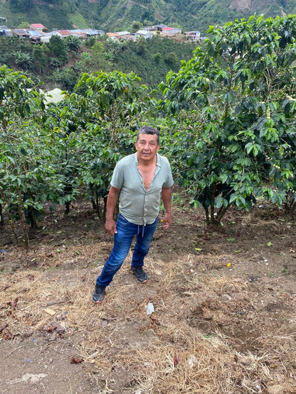 Don Franco Mutis Diaz wearing a light green short-sleeve button-up shirt and blue jeans stands in a coffee plantation surrounded by green coffee plants and dry soil.
